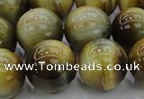 CTE1447 15.5 inches 18mm round golden & blue tiger eye beads