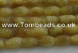 CTE1514 15.5 inches 5*8mm rice golden tiger eye beads wholesale