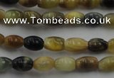 CTE1550 15.5 inches 4*6mm rice golden & blue tiger eye beads wholesale