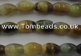 CTE1551 15.5 inches 5*8mm rice golden & blue tiger eye beads wholesale