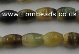 CTE1552 15.5 inches 6*10mm rice golden & blue tiger eye beads wholesale