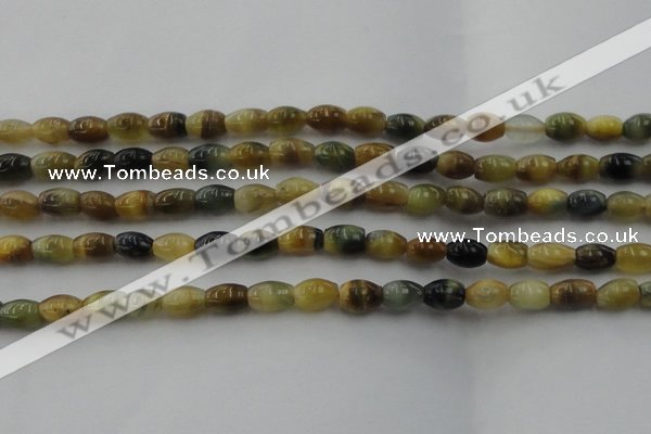 CTE1552 15.5 inches 6*10mm rice golden & blue tiger eye beads wholesale