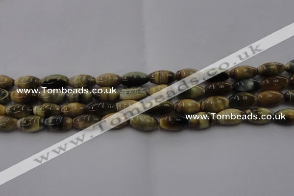 CTE1553 15.5 inches 8*12mm rice golden & blue tiger eye beads wholesale