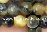 CTE2016 15.5 inches 8mm round golden & blue tiger eye beads wholesale