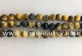 CTE2122 15.5 inches 10mm round golden & blue tiger eye beads