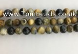 CTE2123 15.5 inches 12mm round golden & blue tiger eye beads