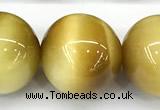 CTE2387 15 inches 16mm round golden tiger eye beads