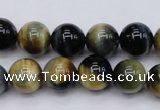 CTE553 15.5 inches 10mm round golden & blue tiger eye beads
