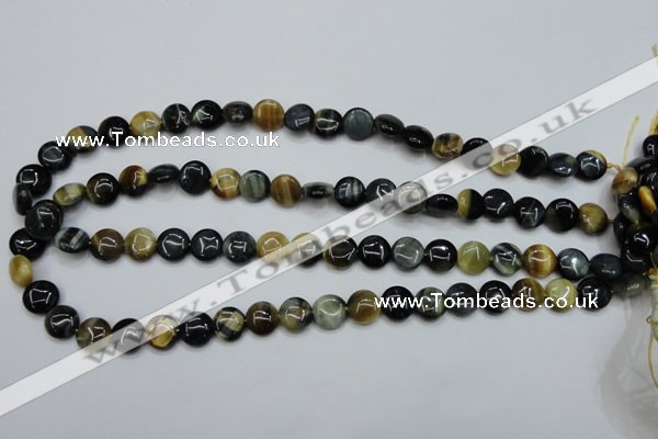 CTE560 15.5 inches 10mm flat round golden & blue tiger eye beads