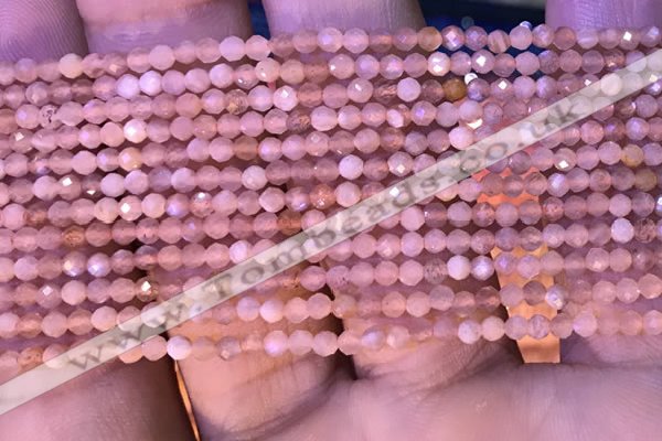 CTG1029 15.5 inches 2mm faceted round tiny moonstone beads