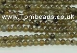 CTG103 15.5 inches 2mm round tiny labradorite gemstone beads wholesale