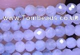 CTG1043 15.5 inches 2mm faceted round tiny aquamarine beads