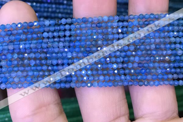 CTG1073 15.5 inches 2mm faceted round tiny apatite beads