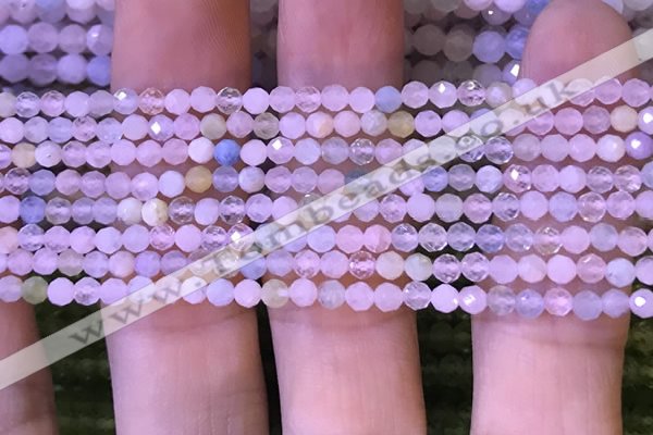 CTG1134 15.5 inches 3mm faceted round tiny morganite beads