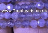 CTG1142 15.5 inches 3mm faceted round tiny labradorite beads