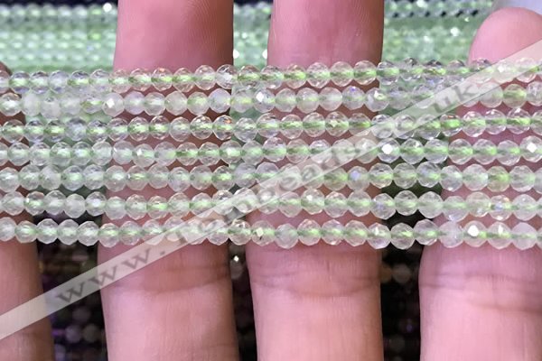 CTG1144 15.5 inches 3mm faceted round tiny prehnite gemstone beads