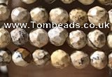 CTG1158 15.5 inches 3mm faceted round tiny picture jasper beads