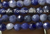 CTG1192 15.5 inches 3mm faceted round tiny blue spot stone beads