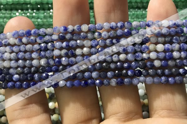 CTG1192 15.5 inches 3mm faceted round tiny blue spot stone beads