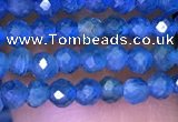 CTG1195 15.5 inches 3mm faceted round tiny apatite gemstone beads