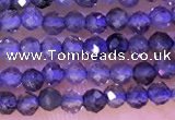 CTG1329 15.5 inches 2mm faceted round iolite beads wholesale