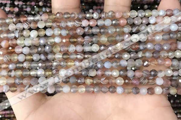 CTG1354 15.5 inches 4mm faceted round Botswana agate beads