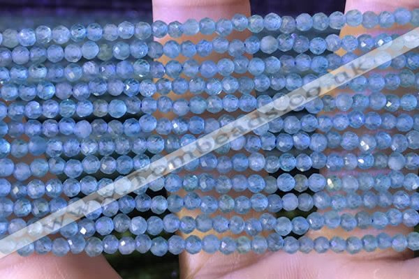 CTG1380 15.5 inches 2mm faceted round tiny apatite beads