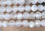 CTG1401 15.5 inches 2mm faceted round white moonstone beads wholesale