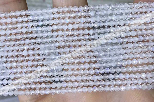 CTG1402 15.5 inches 2mm faceted round white moonstone beads wholesale