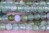 CTG1414 15.5 inches 2mm faceted round Australia chrysoprase beads