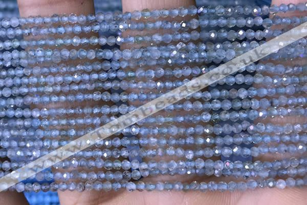 CTG1416 15.5 inches 2mm faceted round apatite beads wholesale