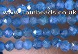 CTG1417 15.5 inches 2mm faceted round apatite beads wholesale