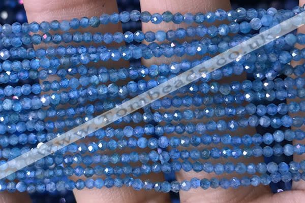 CTG1417 15.5 inches 2mm faceted round apatite beads wholesale