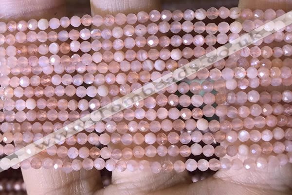 CTG1453 15.5 inches 2mm faceted round moonstone beads wholesale