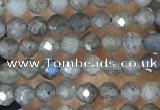 CTG1459 15.5 inches 2mm faceted round labradorite beads wholesale