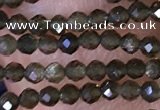 CTG1461 15.5 inches 2mm faceted round golden obsidian beads