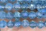 CTG1497 15.5 inches 3mm faceted round apatite beads wholesale