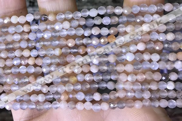 CTG1504 15.5 inches 3mm faceted round moonstone beads wholesale