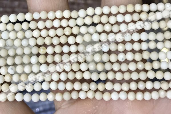 CTG1516 15.5 inches 3mm faceted round white fossil jasper beads
