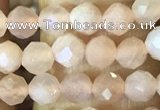 CTG1544 15.5 inches 4mm faceted round moonstone beads wholesale