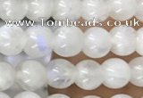 CTG1580 15.5 inches 4mm round white moonstone beads wholesale