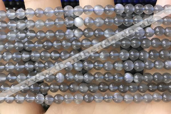 CTG1582 15.5 inches 4mm round grey moonstone beads wholesale