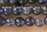 CTG1591 15.5 inches 4mm round iolite gemstone beads wholesale