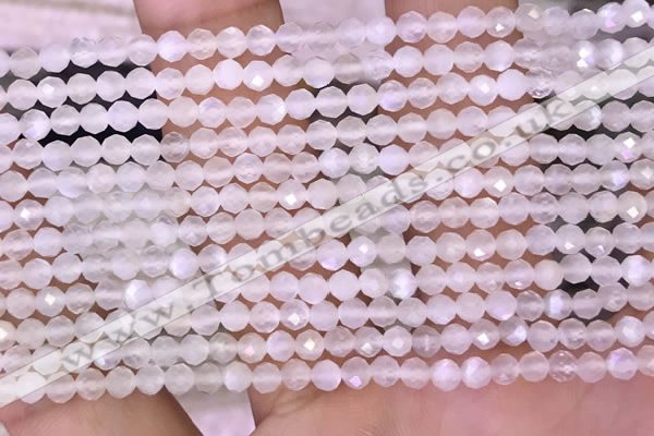 CTG1601 15.5 inches 3mm faceted round tiny white moonstone beads