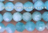 CTG1610 15.5 inches 5mm faceted round tiny amazonite beads