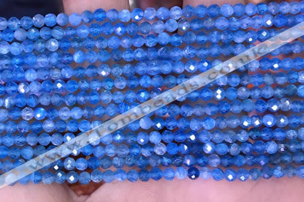 CTG1613 15.5 inches 3mm faceted round tiny apatite beads