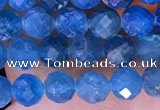 CTG1615 15.5 inches 4mm faceted round tiny apatite beads