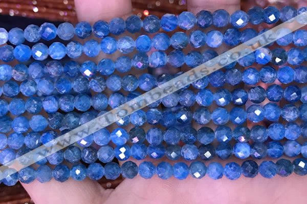 CTG1616 15.5 inches 5mm faceted round tiny apatite beads