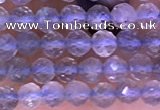 CTG1622 15.5 inches 3mm faceted round tiny labradorite beads