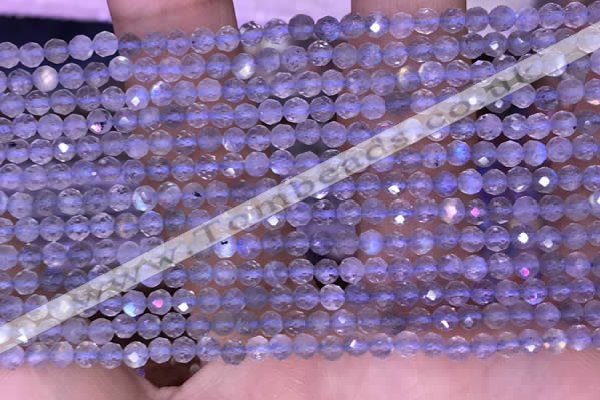 CTG1622 15.5 inches 3mm faceted round tiny labradorite beads